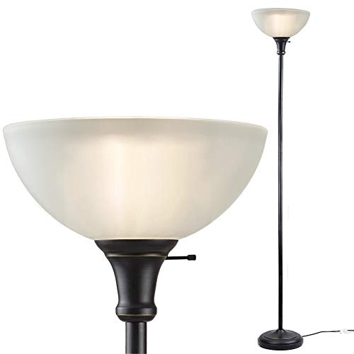 Bronze Floor Lamp (Bronze Floor Lamp)