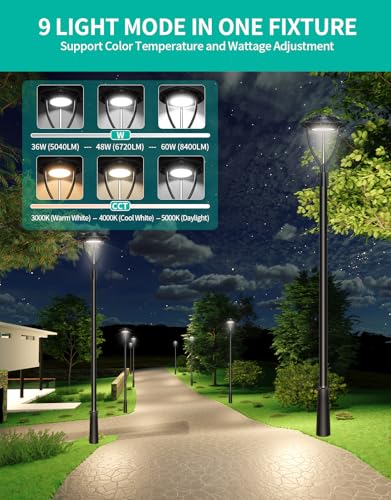 LED Post Top Light