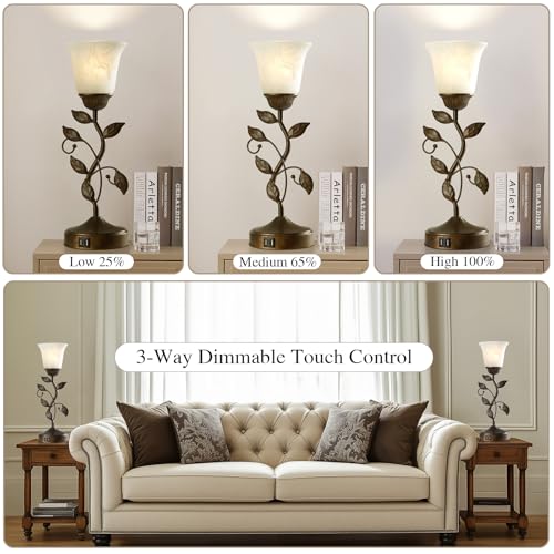 Set of 2 Touch Farmhouse Bedroom Table Lamps 2 USB C+A (2 Pack - Brass)