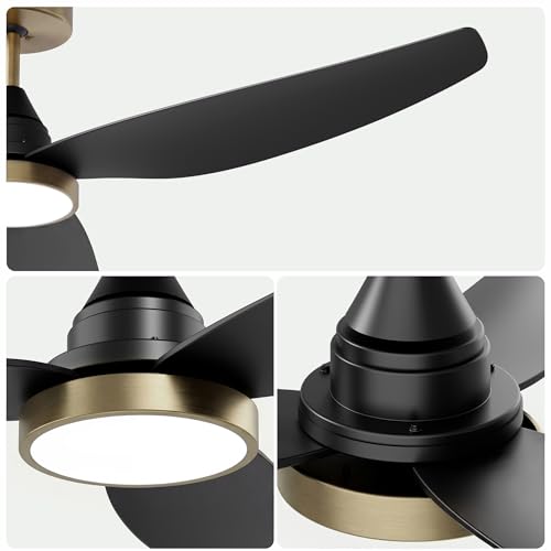 54 Inch Ceiling Fan with Lights (Black & Gold / 54 inch)