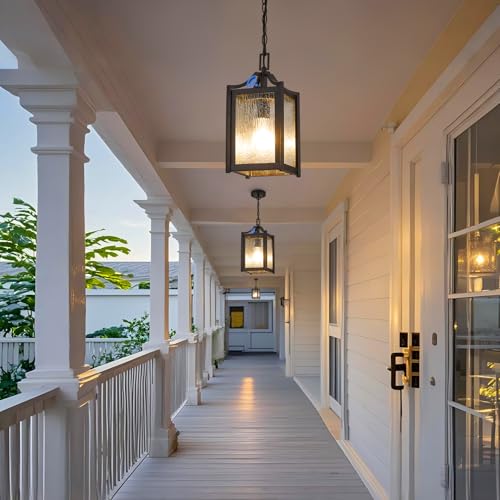 Outdoor Pendant Lights (Black / Small-Water Glass)