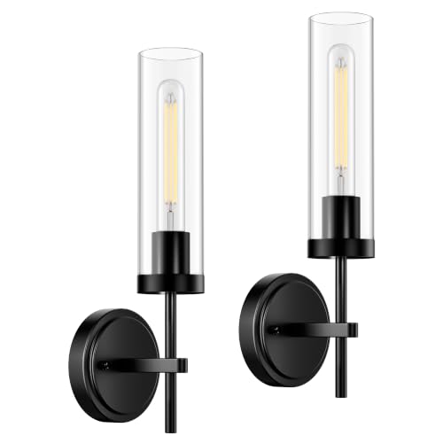 Wall Sconce Wall Light Fixtures with Clear Glass Shade