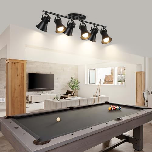 6 Light Track Lighting Kit (6-Light / Black)