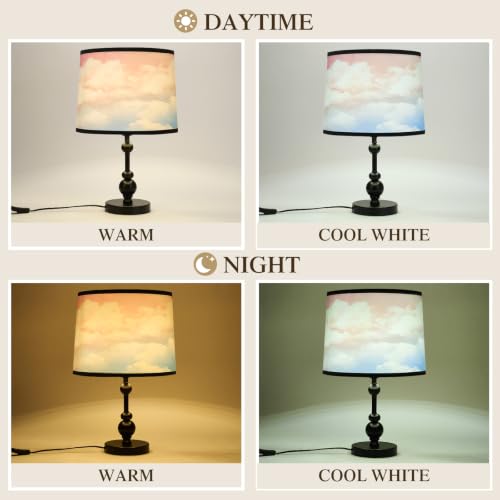 Drum Lamp Shades Set of 2 (Rainbow)