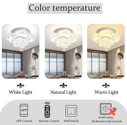 Dia 12'' Mini Crystal Chandeliers Silver Modern LED Chandelier Flush Mount Crystal Ceiling Lights Fixture Modern Pendant Light for Living Room Foyer Entryway (Silver / Dia 12")