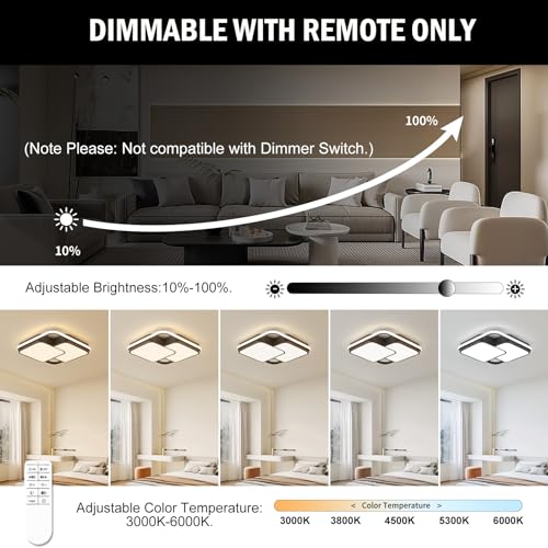 Modern Ceiling Light with Remote for Bedroom Living Room Kitchen Hallway 0109