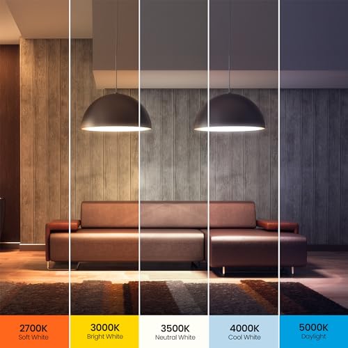 A19 LED Light Bulb
