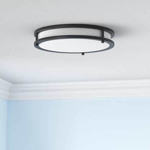 LED 18" Round Flush Mount Lighting (Black)