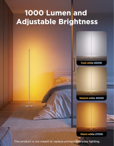 RGBIC Floor Lamp (Silver / 53.7 inches)