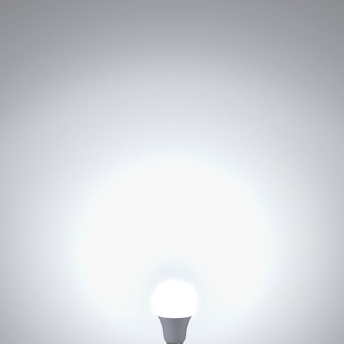 A19 LED Light Bulbs