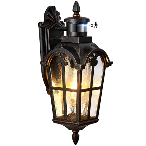 Outdoor Motion Sensor Light (Oil-Rubbed Bronze / 1-pack)