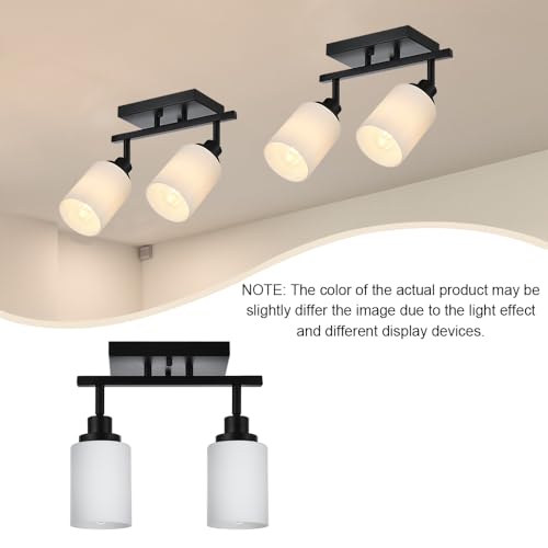 Wall Sconce Track Lighting Kit (Black / 2-Lights)