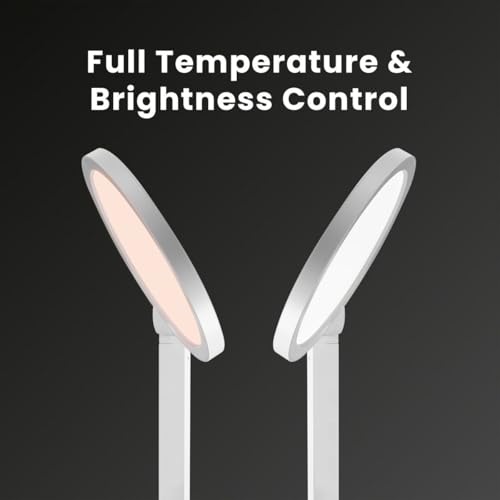 Edge 2.0 LED Desk Lamp (White - Single)
