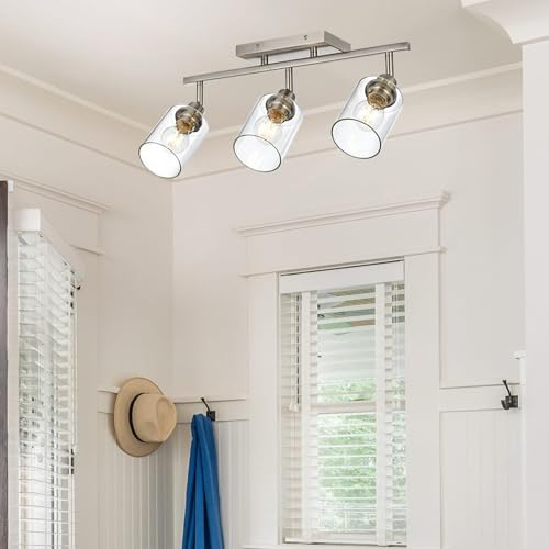 3 Light Track Lighting Fixtures Ceiling (Brushed Nickel / 3 Lights)