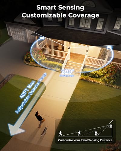 Motion Sensor Outdoor Wall Light (Black / Motion Sensor-1 Pack)