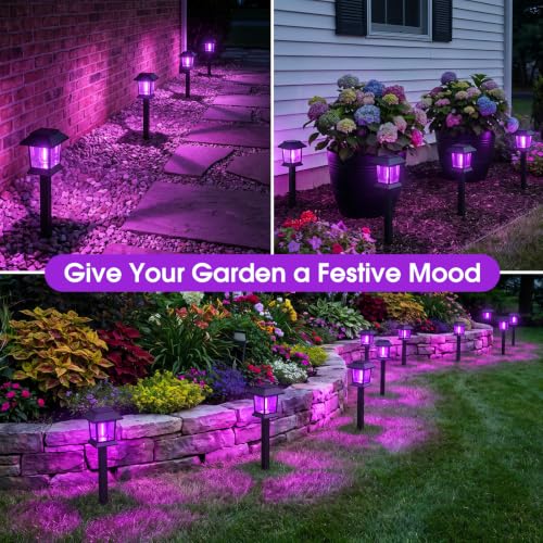 Solar Lights Outdoor (Purple Light)
