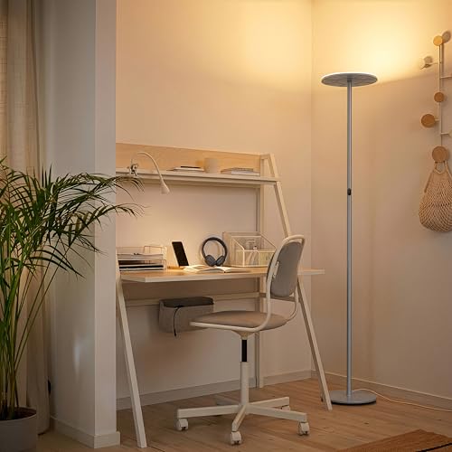 Sky LED Floor lamp (Platinum Silver)