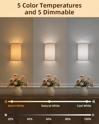Battery Operated Wall Sconce