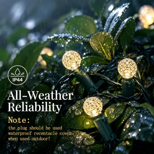 G14 Slow Twinkle Warm White Christmas Globe Lights (Warm White / 100 LED)