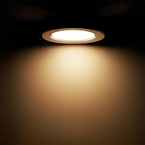 12 Pack BR30 Flood Light Bulb Indoor