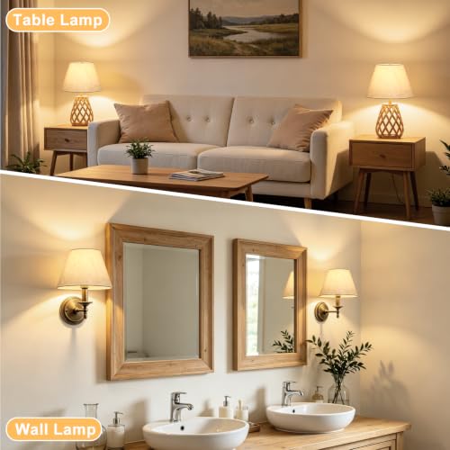 Small Lampshades Set of 2