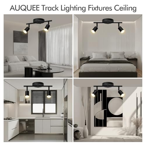 2 Light Track Lighting Fixtures Ceiling (2 light black)