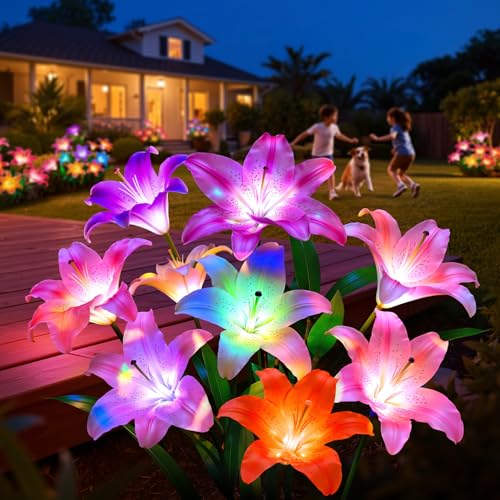 Solar Garden Lights