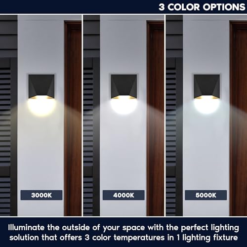 Outdoor LED Black and Gold Wall Sconce