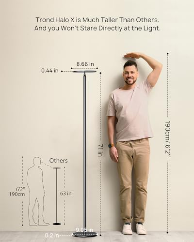 Floor Lamp Modular 71 in Tall Pole Light (Warm light Black)