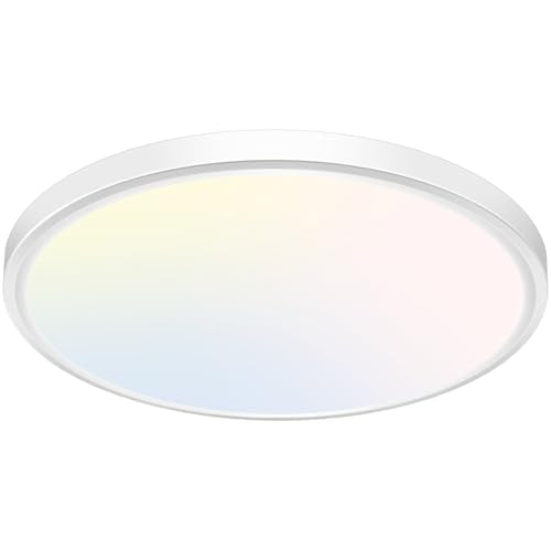 12 inch Flush Mount LED Ceiling Light Fixture (White / 12in-1Pack)