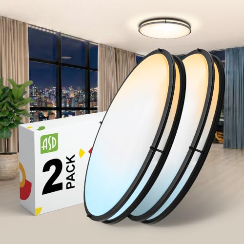 LED 24" Oval Flush Mount Lighting (Black)