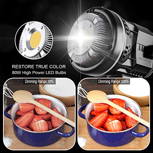 GVM 80W Softbox Lighting Kit with APP Control