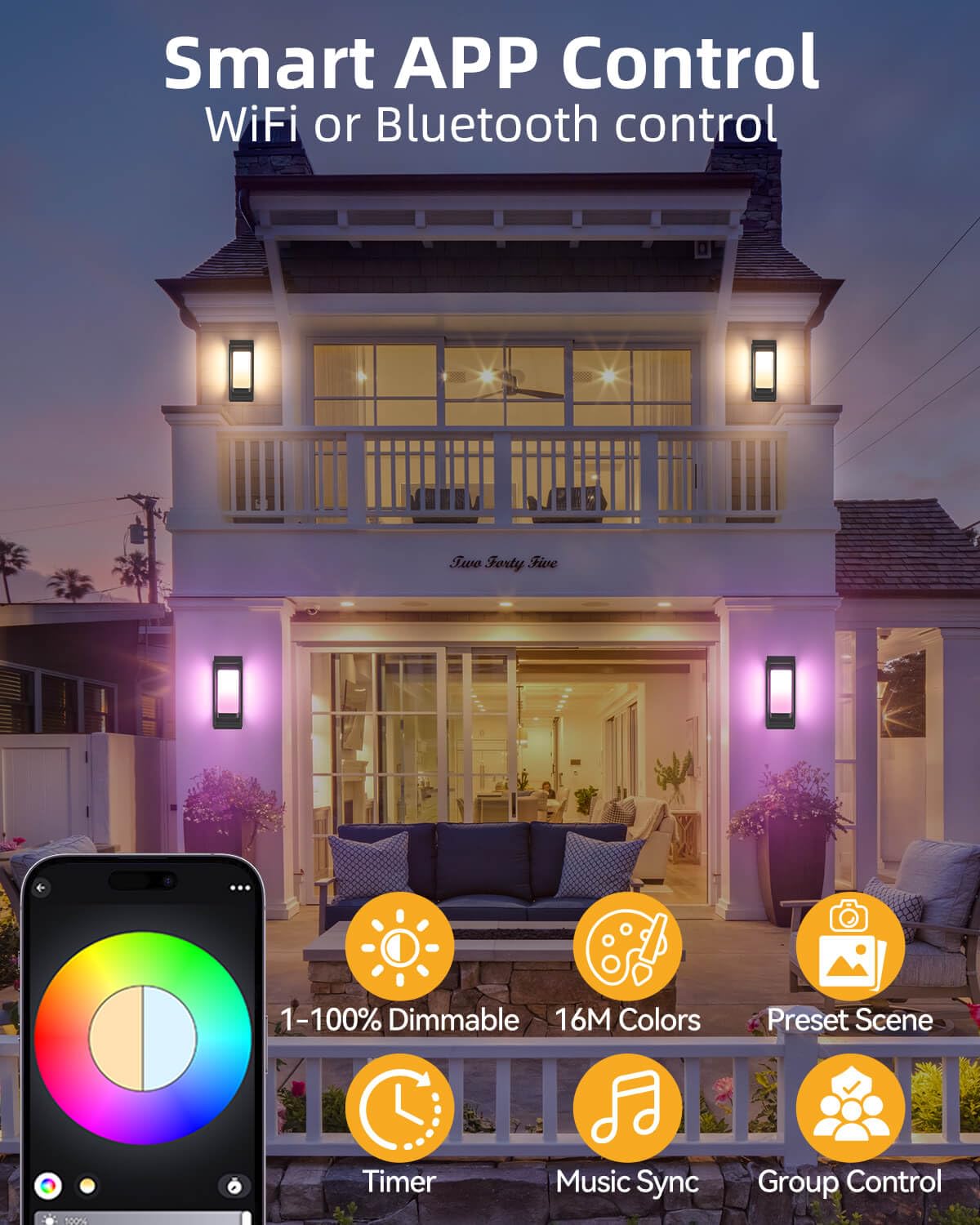 Smart Porch Lights RGBCW Outdoor Wall Light (Black)