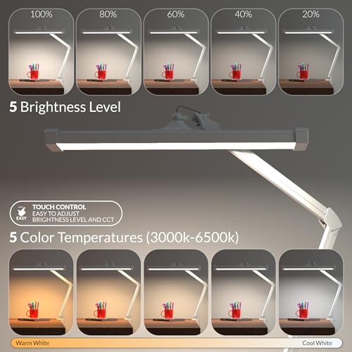 Professional LED Desk Lamp with Clamp (CCT Selectable, Dimming / White)