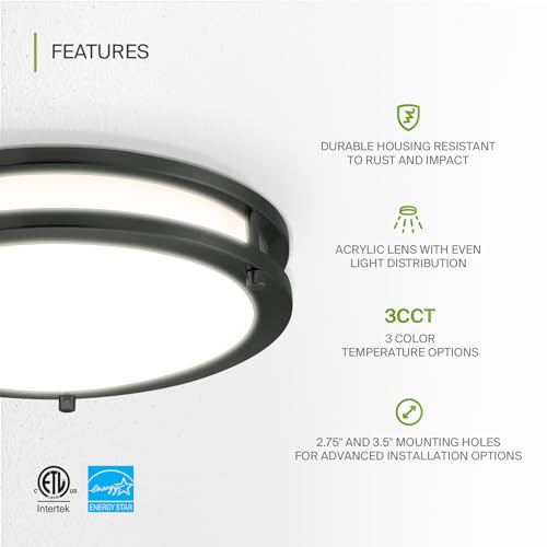 LED 12" Round Flush Mount Lighting (Black)