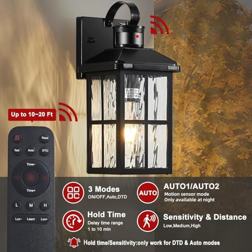 Porch Lights Outdoor with Remote (2 Black RW)