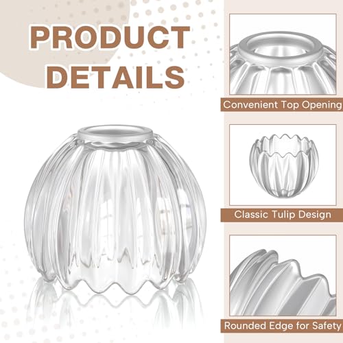 2 Pcs Glass Tulip Lamp Shade (Clear)