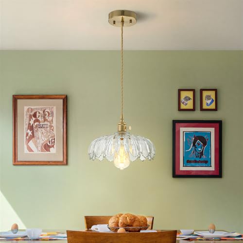 EDSILIVE Glass Pendant Light
