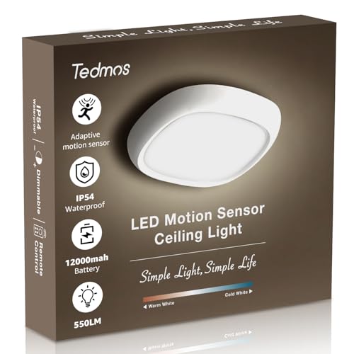 Rechargeable Ceiling Light with Motion Sensor and Remote