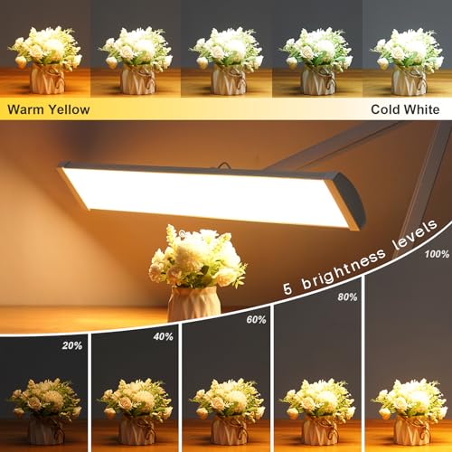 32 Inch LED Architect Desk Lamp with Clamp (White / CCT)