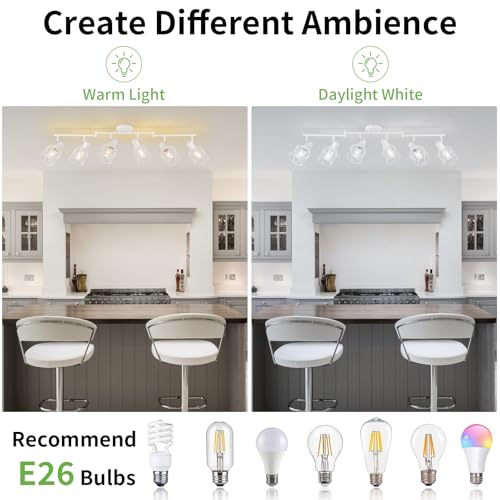 Track Lighting Fixtures (White / 6-Light-Cage)