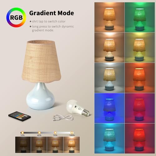 Cordless Table Lamp Rechargeable (Light Blue / Cordless)