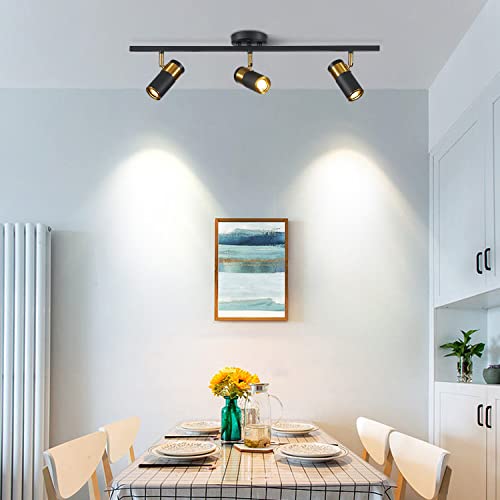 3 Light LED Track Lighting (Black)