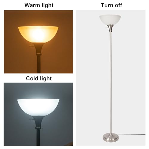 Floor Lamp Frosted White Glass Bowl Shade (Bowl Shade Lamp-Brushed Nickel)