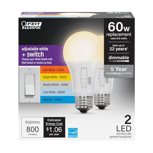 LED Light Bulbs (A19 - 2 Pack)