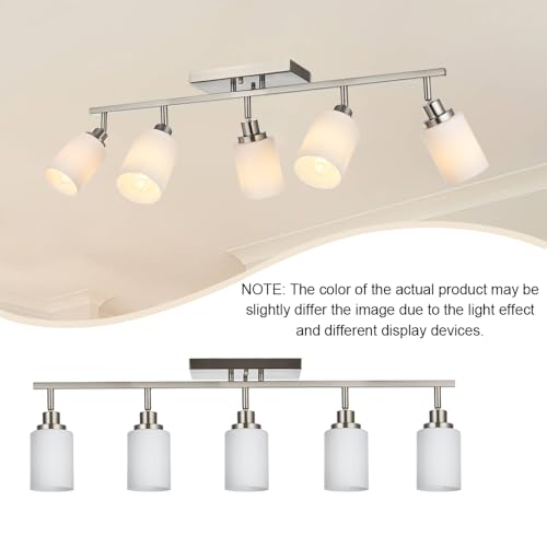 5 Lights Complete Track Lighting Kits in Brushed Nickel (Brushed Nickel / 5-Lights)