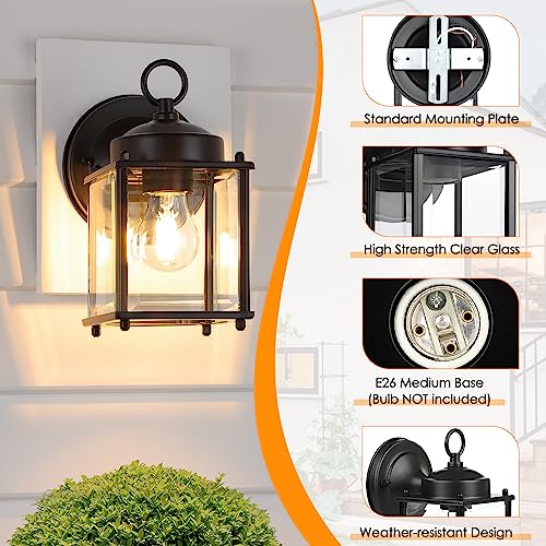 Outdoor Wall Lantern (Black / 8.27 inch)