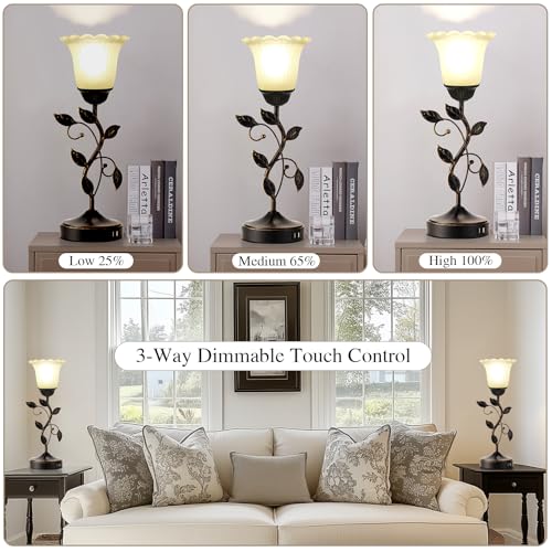 Set of 2 Touch Bedside Vintage Lamps with 2 USB C+A (2 Pack - Black)