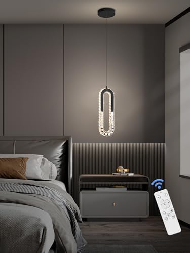 Modern Pendant Lighting 1 (Black / 1 Ring)