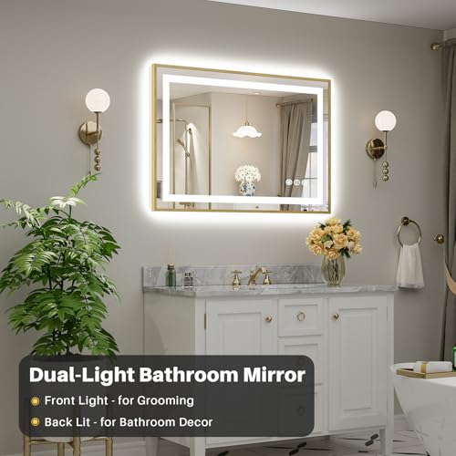 44x30 Inch LED Bathroom Mirror with Gold Frame (Backlit+front Lit With Gold Frame / 44"L x 30"W)